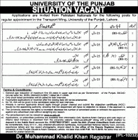 Jobs In University Of The Punjab PU