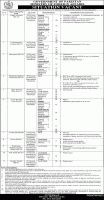 Ministry of Foreign Affairs Jobs June 2020 - mofa.gov.pk Apply Online