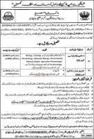 2000+ Sanitary Petrol Workers Jobs In Health Department Punjab 2020