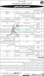 Culture Tourism Antiquities & Archives Department Jobs Sep 2020