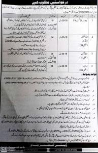 Deputy Commissioner Office Peshawar NTS Jobs December 2019 Advertisement With Application Form