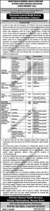 Directorate General Health Services New Posts Latest Jobs