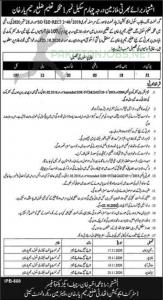 District Education Authority Jobs October 2020