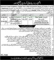 District Health Authority Jobs September 2020 Lahore