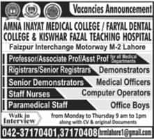 Jobs In Amna Inayat Medical College Lahore