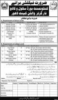 Jobs In Cantonment Board Public School And College For Girls, Walton Cantt Lahore