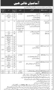 Jobs In Federal Govt PO Box 1418  - New Advertisement 2019