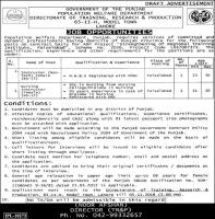 Jobs In Population Welfare Department Govt Of Punjab