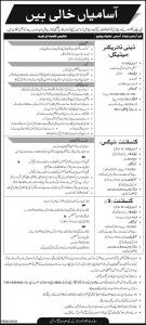 Jobs In Public Sector Organization Islamabad