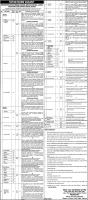 Jobs In Punjab Institutes Of Medical Sciences And Hospitals October 2019