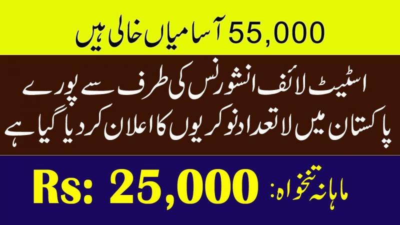 Jobs In State Life Insurance Corporation Of Pakistan 2019