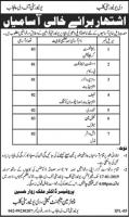 Jobs In University Of The Punjab 2019