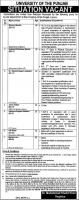 Jobs In University Of The Punjab PU