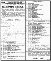 Jobs In University Of Veterinary And Animal Sciences UVAS