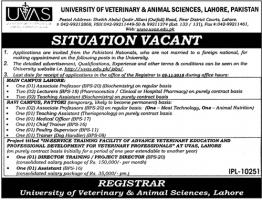 Jobs In University Of Veterinary And Animal Sciences UVAS