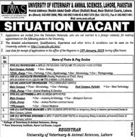 Jobs In University Of Veterinary And Animal Sciences UVAS