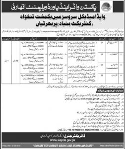 Jobs In WAPDA Medical Services Lahore And Islamabad