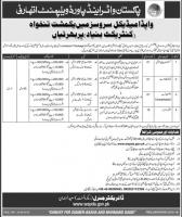 Jobs In WAPDA Medical Services Lahore And Islamabad