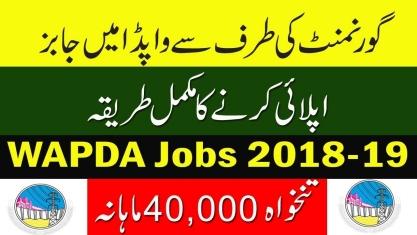 Jobs In Water And Power Development Authority - WAPDA Jobs 2019