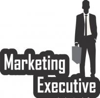 Junior Marketing Executives