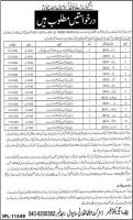 Latest Jobs At Hospitals Managed by District Health Authority Sahiwal