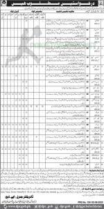 Livestock & Dairy Development Department Jobs August 2020