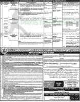 Local Govt & Community Development Department Jobs 2020