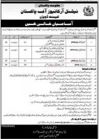 National Archives of Pakistan Jobs 2023