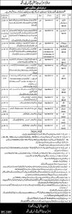 NTS Jobs In District And Session Judge Toba Tek Singh