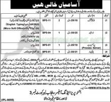 Punjab Labor Court No. 03 Lahore at Ferozewala Jobs August 2020