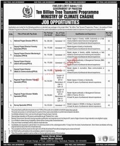 Ten Billion Tree Tsunami Programme Pakistan Jobs 2020