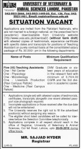 Jobs In University Of Veterinary And Animal Sciences UVAS Lahore