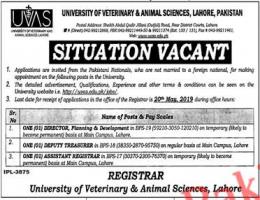 Jobs in University Of Veterinary & Animal Sciences UVAS