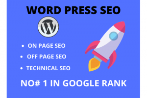 I will do on page off page and technical SEO of your website