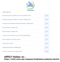 Jobs At BankIslami Pakistan Limited April 2019